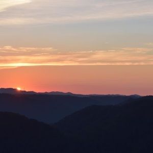 Meet your Posher, Rene